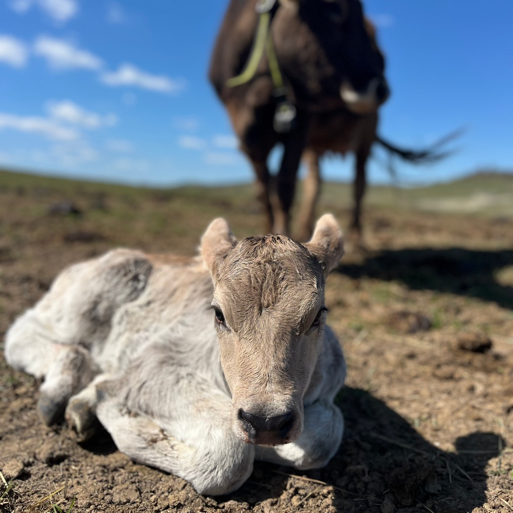 Horhos Völgyi Nyílt Nap - 5 év alatti gyermek ingyenes jegy